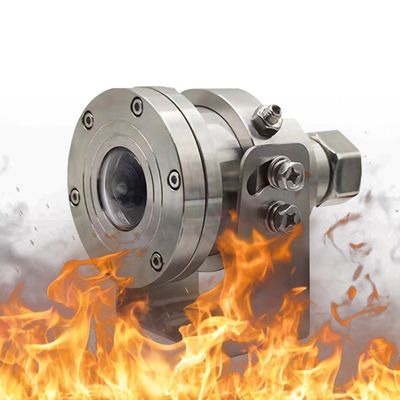4K CCTV Anti-Explosion Fisheye PTZ Camera Roestvrij staal voor vrachtwagen Ingebouwde MIC Starlight IR